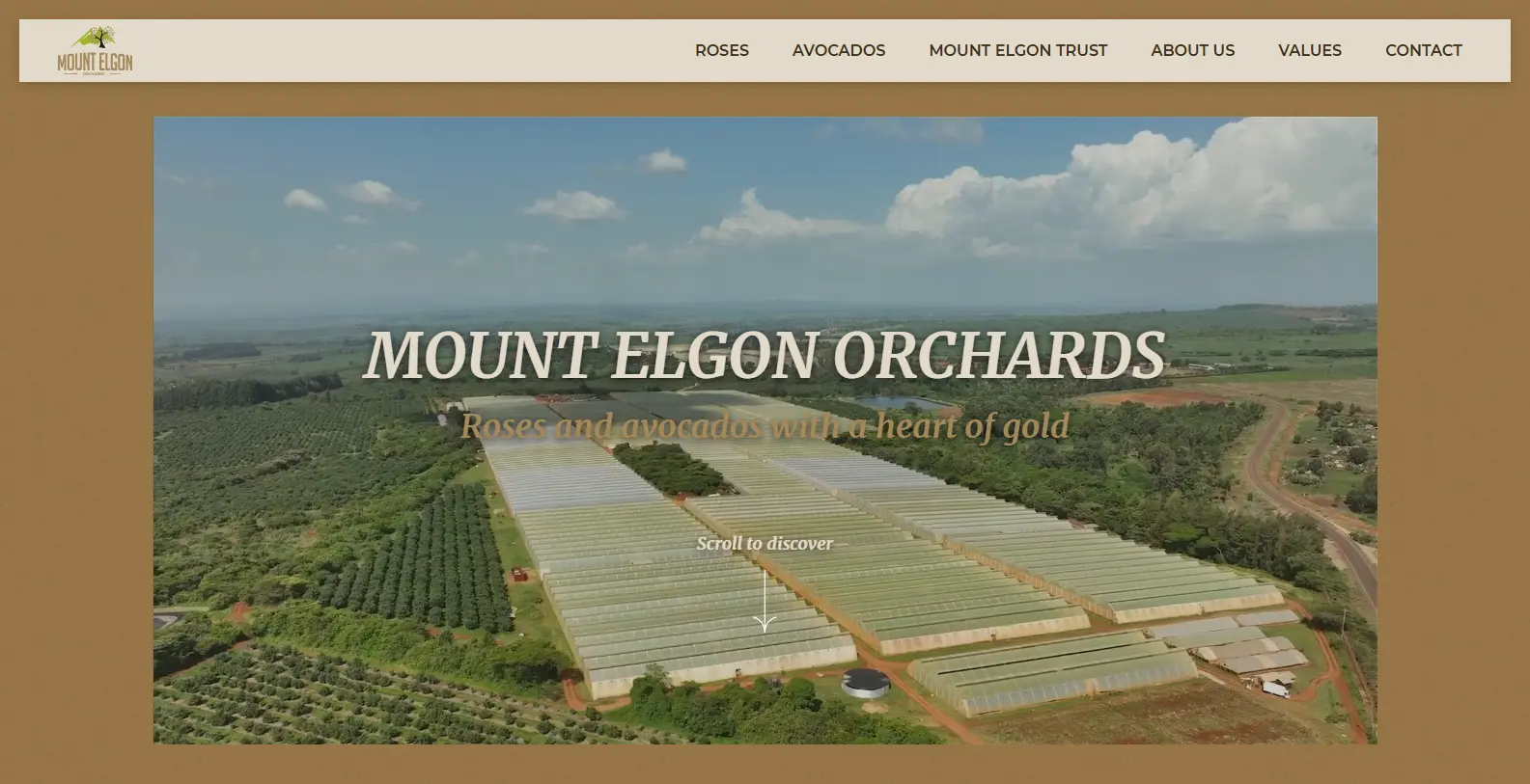 Mt Elgon project preview